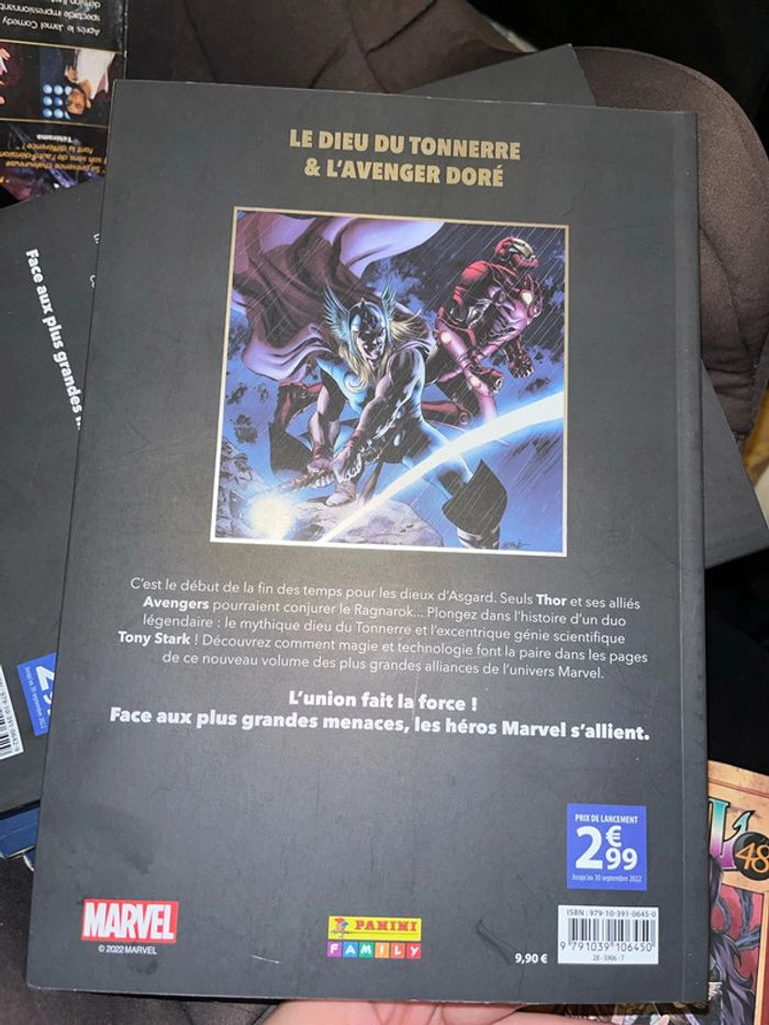 Théo & iron man - photo numéro 2