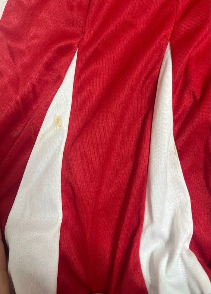 Déguisement chearledar