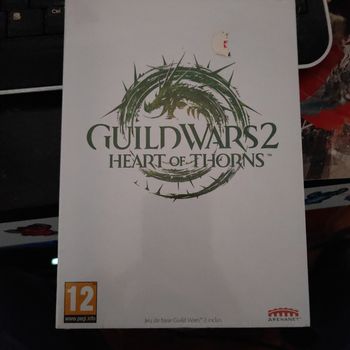 Jeu pc guild wars2