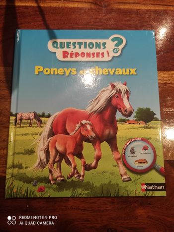 Livre questions réponses poneys et chevaux