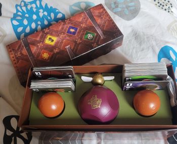 Jeu Harry potter la course au vif d'or