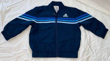 veste/ gilet adidas  12 mois