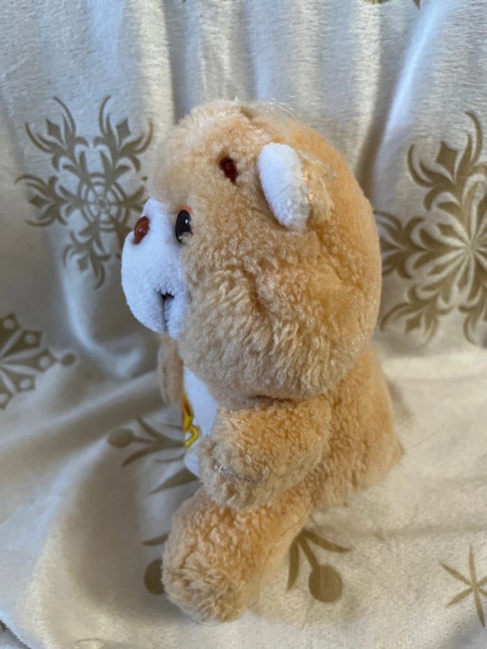 Petite peluche Bisounous Care Bears Gros champion vintage - photo numéro 4