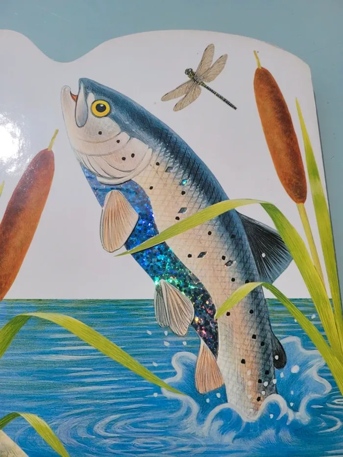 Rare, Superbe livre grand format à toucher 🐢 La vie dans la rivière 🐟 - photo numéro 7