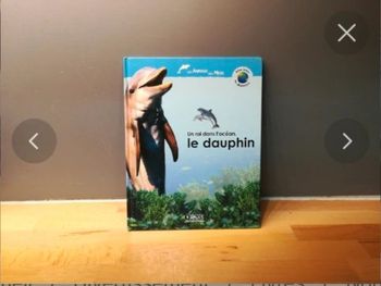 Livre un roi dans l'océan, le dauphin