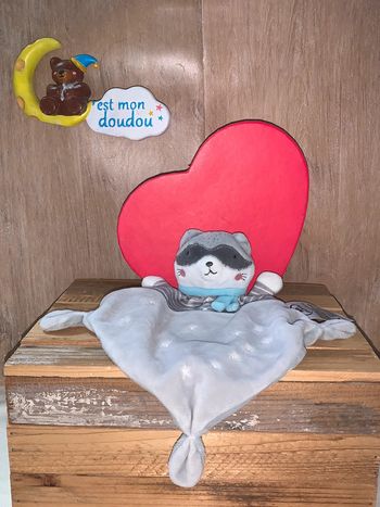 MD15 Doudou raton laveur 🦝 mots d’enfants