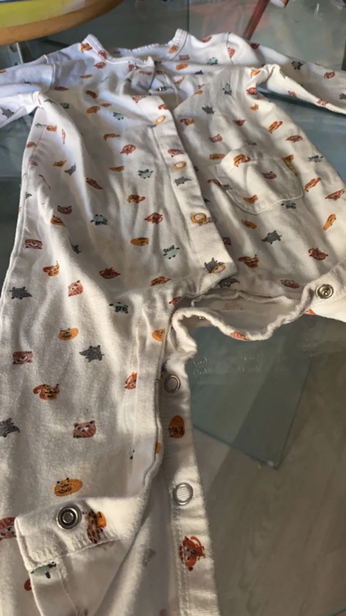 Grenouillère - photo numéro 5