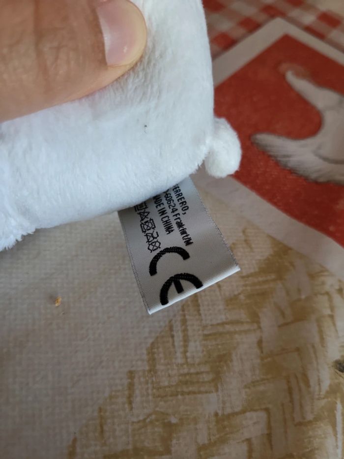 Ourson blanc - photo numéro 3