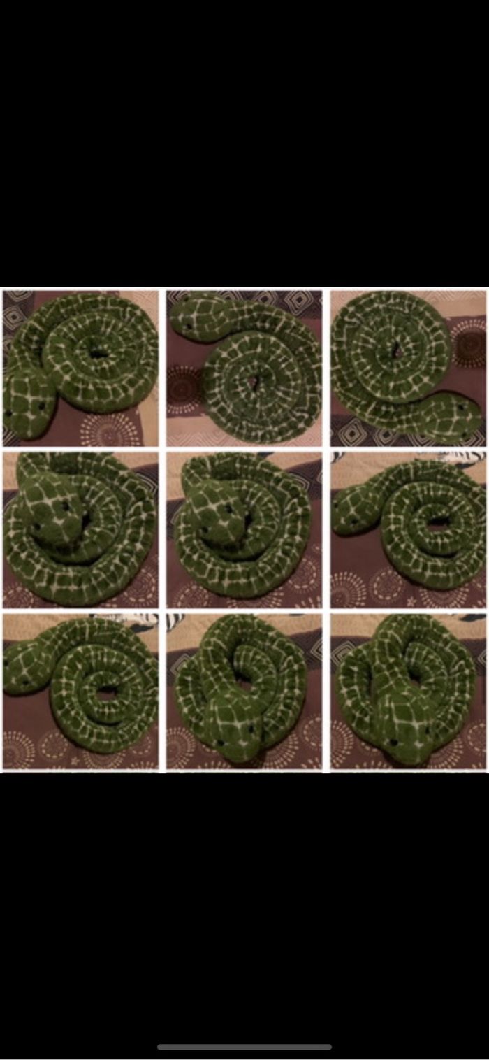 Géant serpent minimum 2metre anacondas