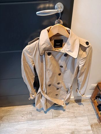 Trench mango