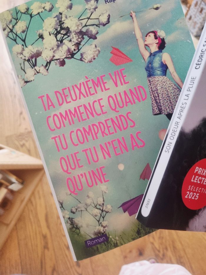 Lot deux romans - photo numéro 2