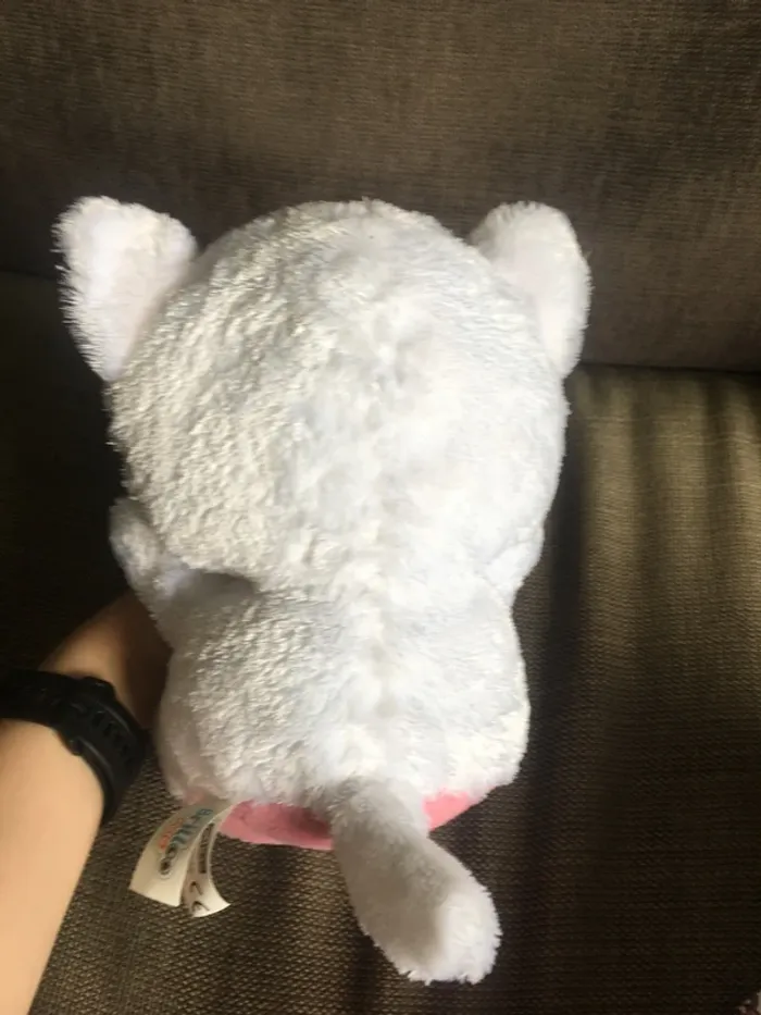 Peluche 🧸 chat 🐈 - photo numéro 5