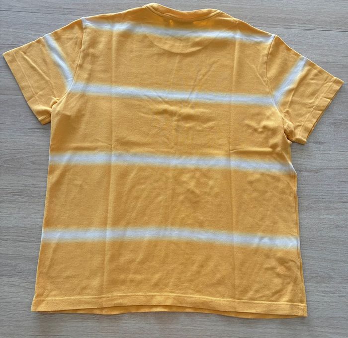 T-shirt Lacoste, rayé Jaune et crème, taille S, homme - photo numéro 5