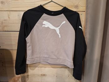 Pull puma taille 12 ans