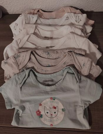 Lot 6 bodys manches courtes 36 mois