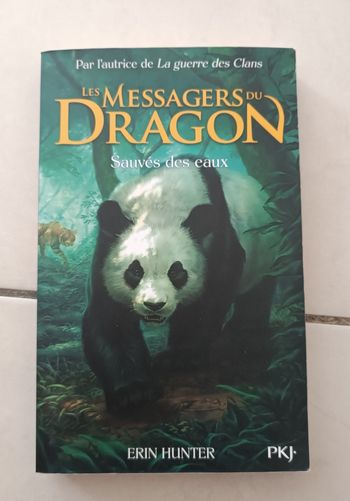 Livre : Les messagers du dragon