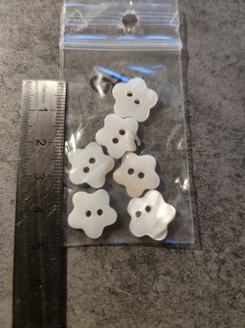 lot de 6 boutons en nacre / blanc / env 1 cm