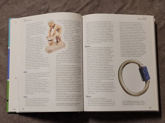 Depuis Quand? De A a Z, l'Origine des Objets, Techniques, Animaux et Vegetaux De Notre Quotidien Pie - photo numéro 3