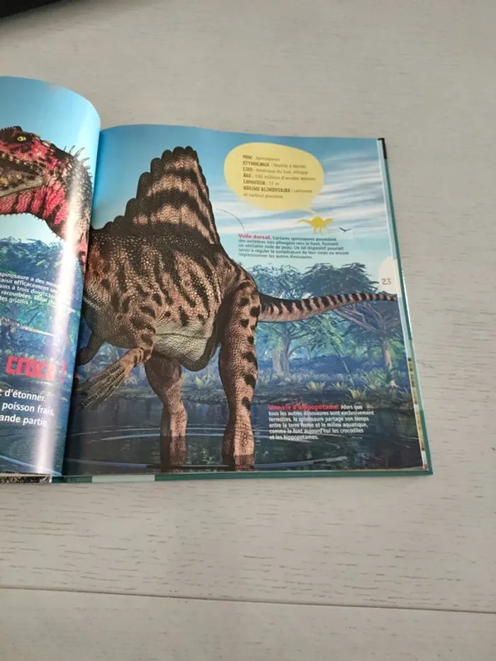 livre "Les Dinosaures" avec DVD - photo numéro 8