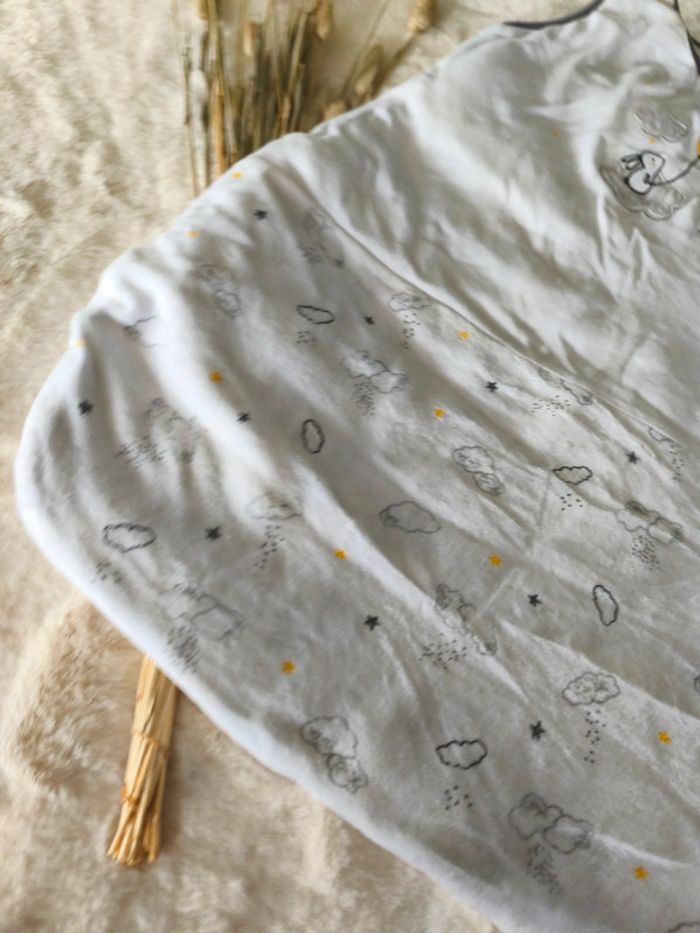 Gigoteuse - photo numéro 2