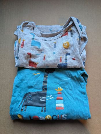 Lot 2 body Thème Dinosaures