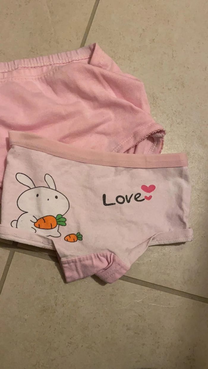 Lot n 1 - 24 mois culotte ptit bisou Aubert - photo numéro 4