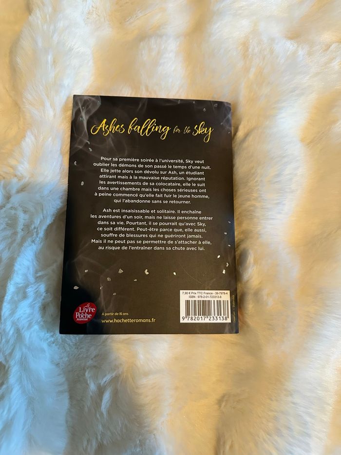 Ashes falling for the sky de Nine Gorman et Mathieu Guibé - photo numéro 2