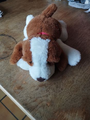 Mon chien interactif 