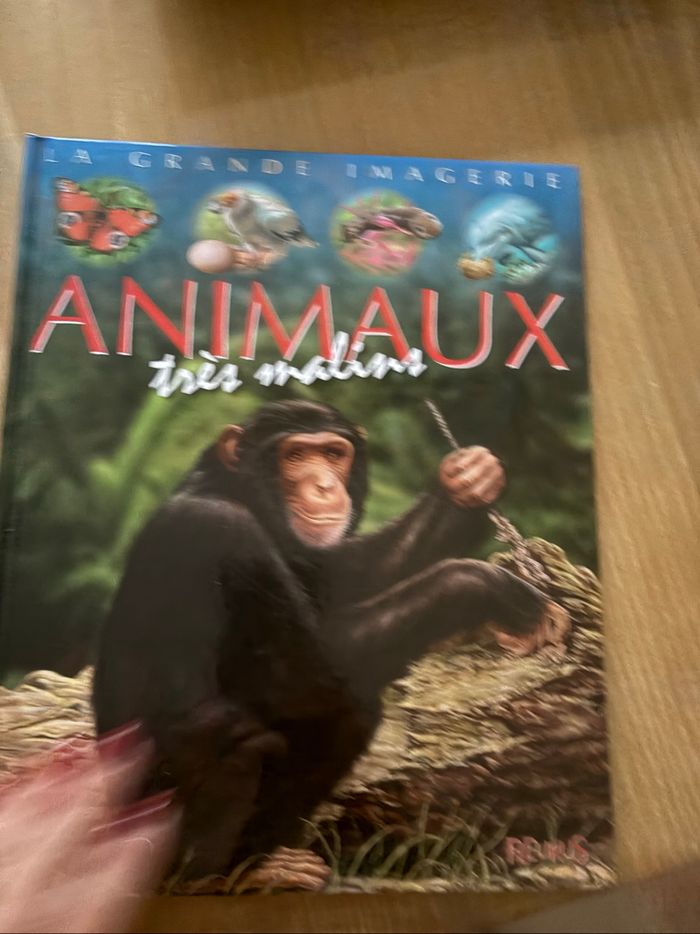 La grande imagerie - photo numéro 8