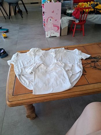 Lot bodies