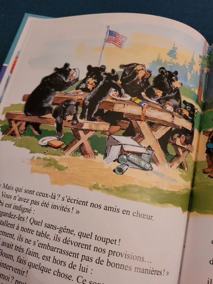 Caroline en Amérique USA Grand Canyon livre album rare multicolore Pierre Probst ours - photo numéro 10