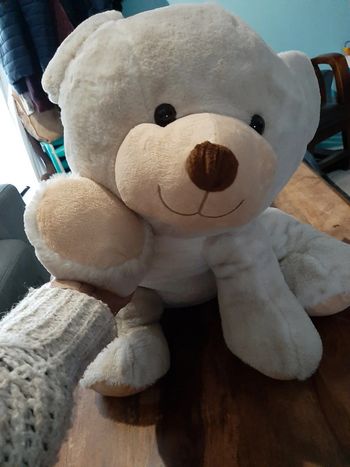 Grosse peluche ourse
