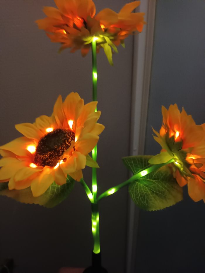 Lumière decorative - photo numéro 5