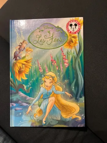 Livre pour enfants Disney les fées