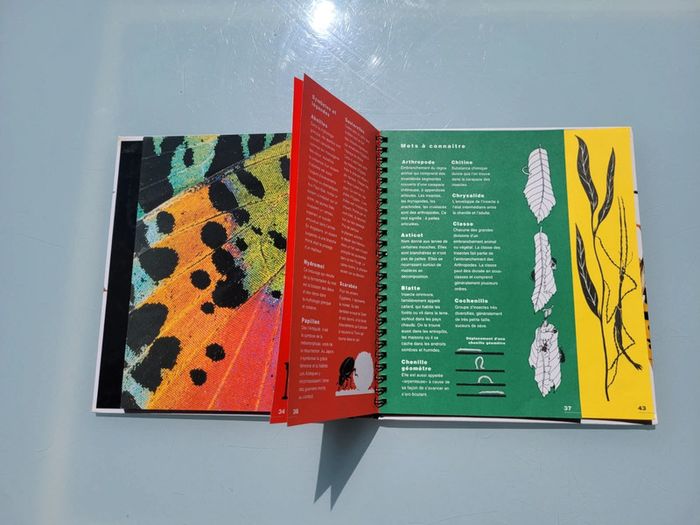 🦗 Mille Milliards d'insectes 🪳livre animé Gallimard Jeunesse (73) - photo numéro 17