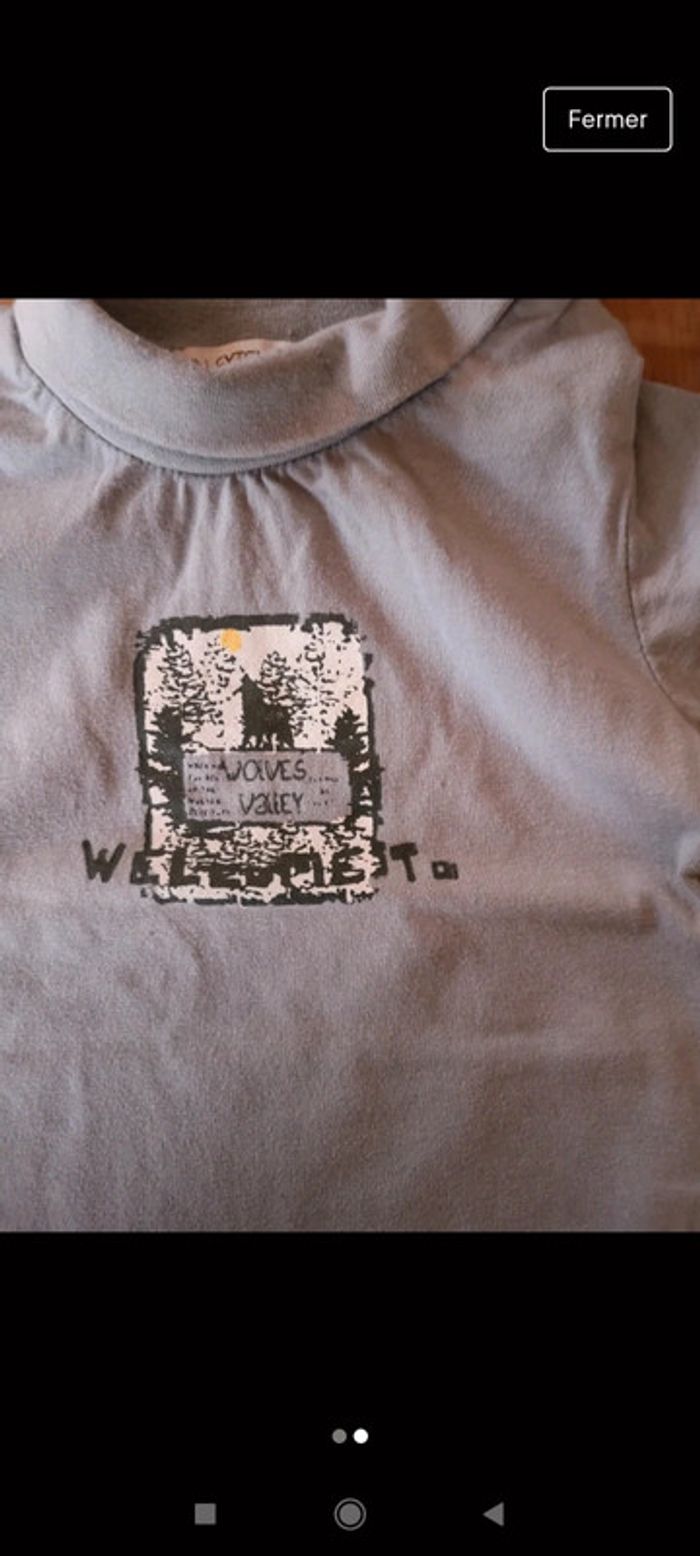 Sous pull 2 ans - photo numéro 2