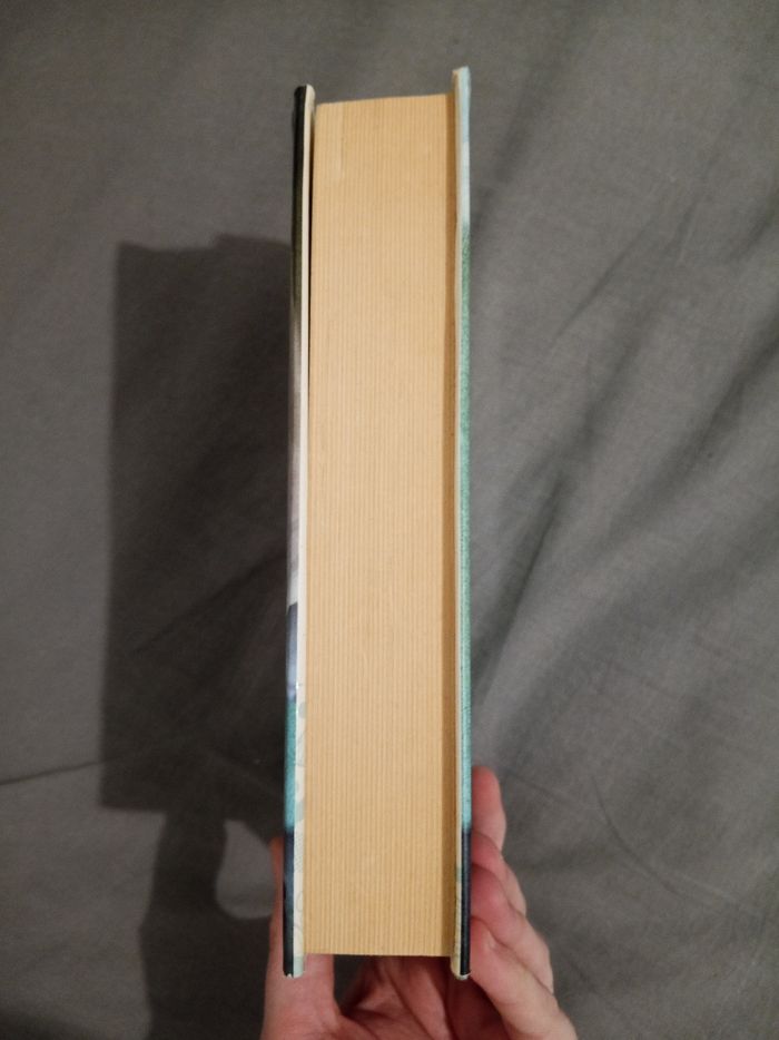 Livre (196) 📚 Tu seras notre enfant - photo numéro 4