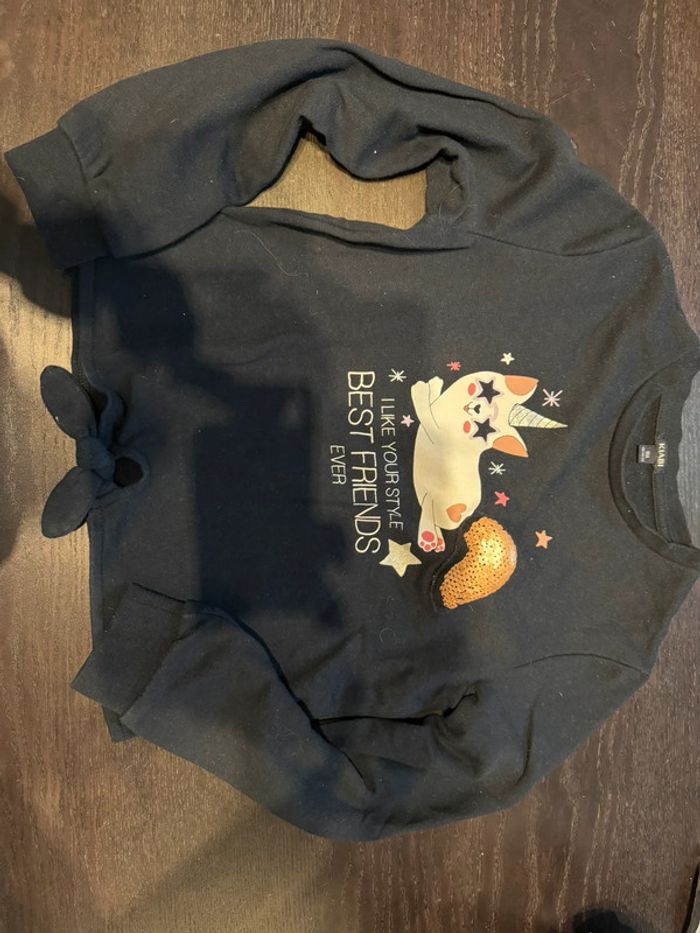 Lot hiver 2 tricots fille