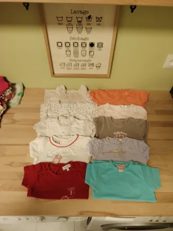 Lot de 10 t shirt manche courte
