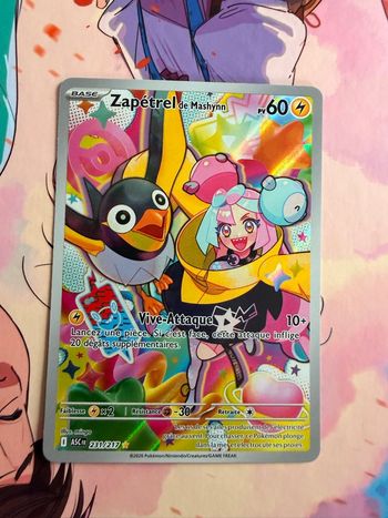 Zapétrel de mashynn 231