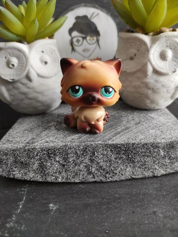 My Littlest Petshop LPS Pet Shop chat persan 22 cat  #geektradelpschat