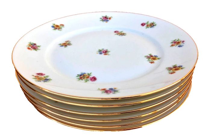 5 assiettes plates anciennes  Porcelaine P.N France