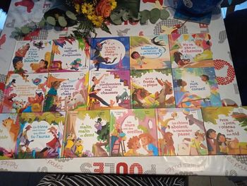 Collection complète "il était un dicton"