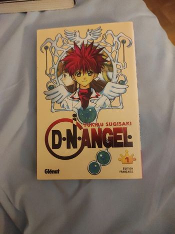 Tome 1 DN Angel