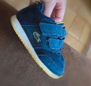 Basket lacoste