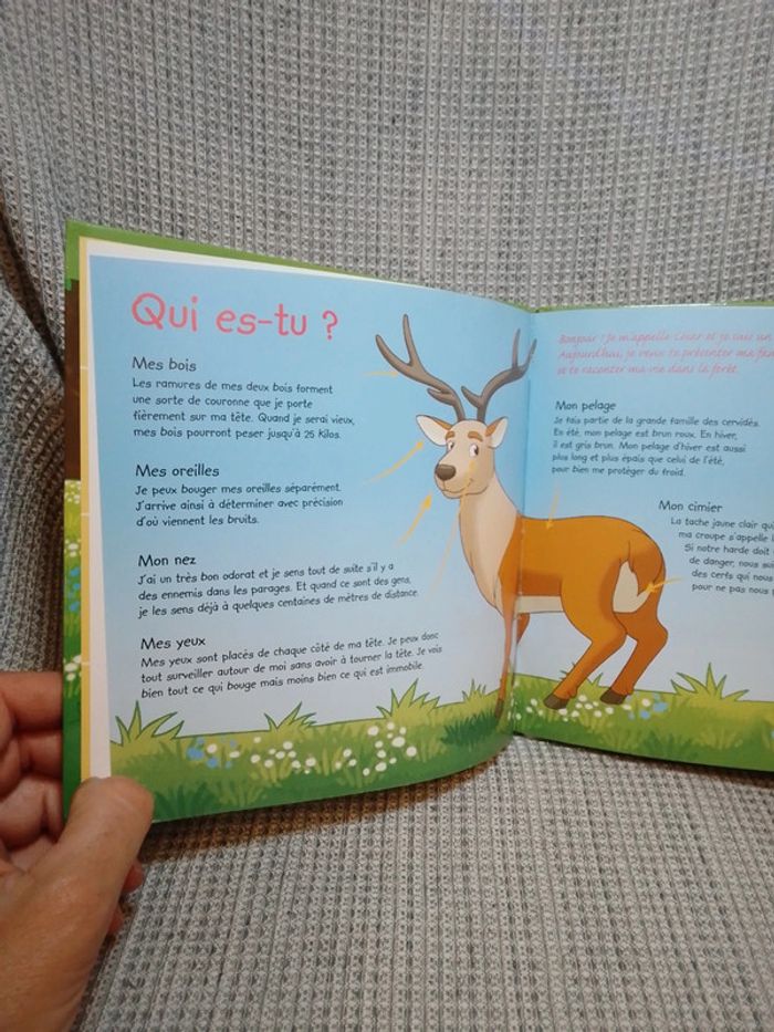 Le cerf + 2 figurines - série "Je vis dans la forêt" N.1 / Ed. Altaya - photo numéro 5