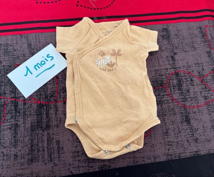 Lot bodies - photo numéro 3