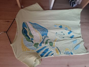 T-Shirt Caméléon 12ans