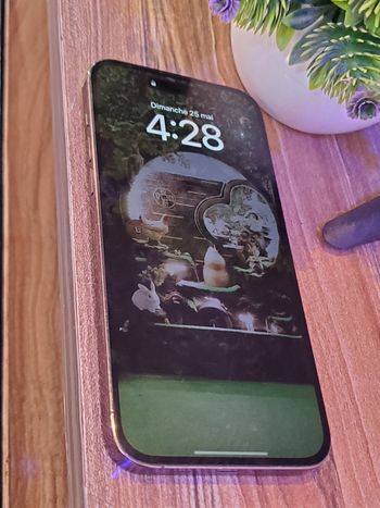 IPhone 14 Pro Max 128Go