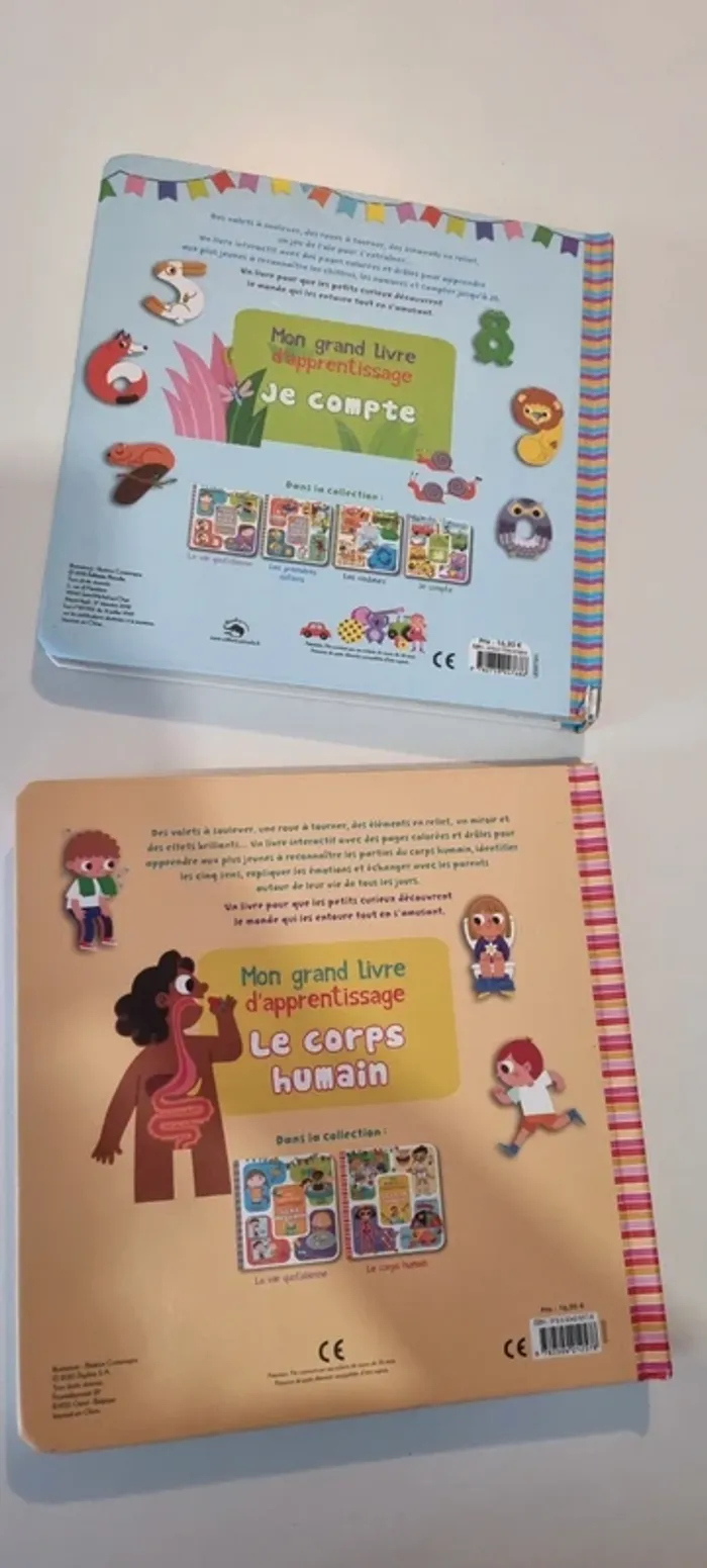 Lot de 2 Mon grand Livre d'apprentissage - photo numéro 10